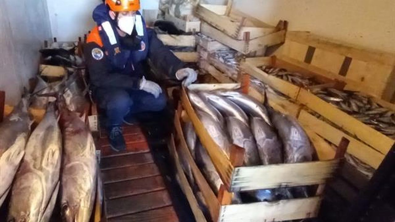 Unità istituzionale durante un servizio marittimo
