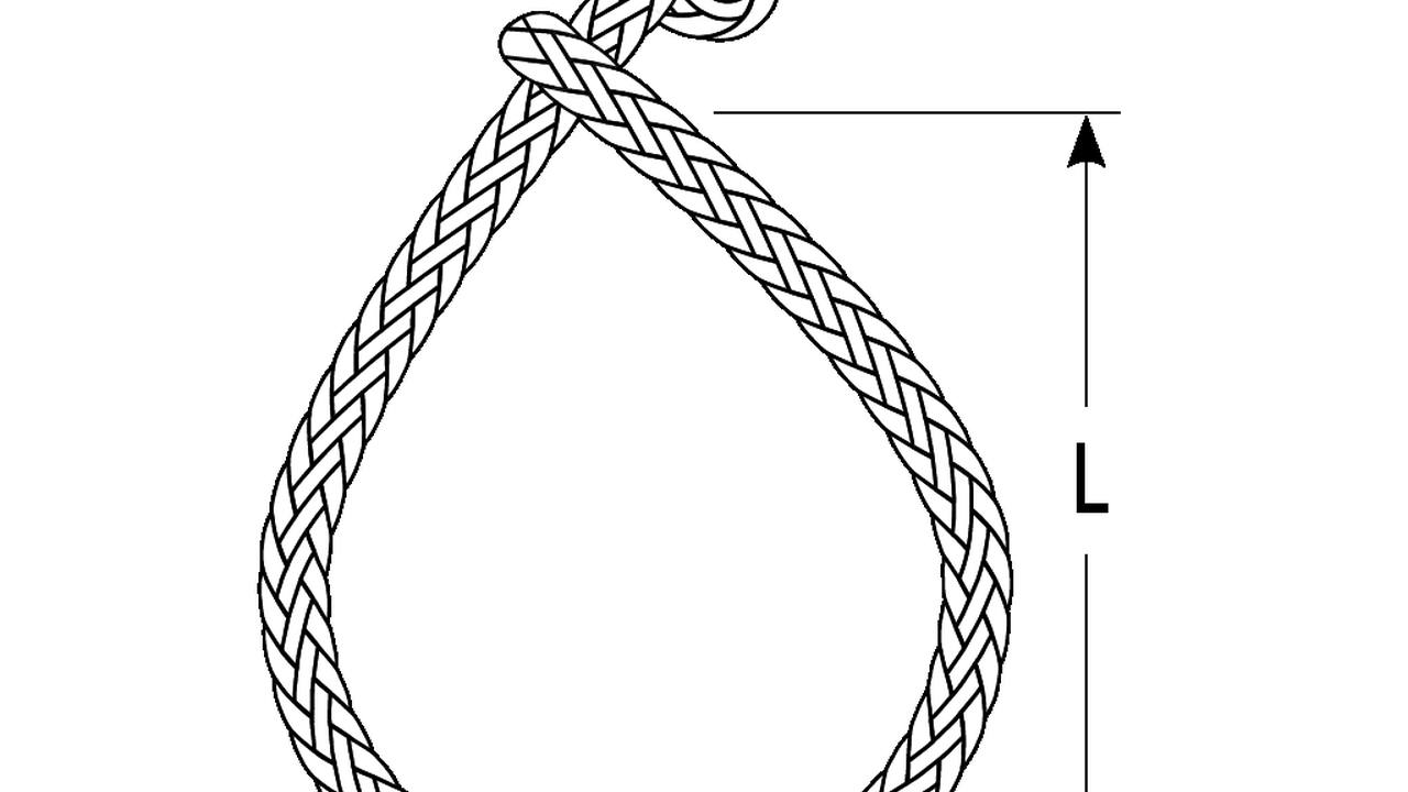 Schema del soft shackle Ronstan DSH-12GRY