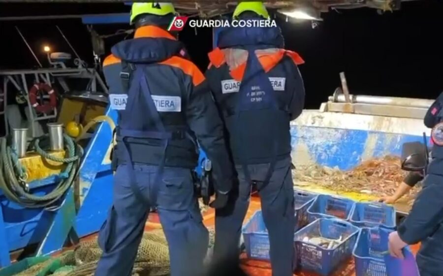 Guardia Costiera durante un servizio istituzionale sul mare
