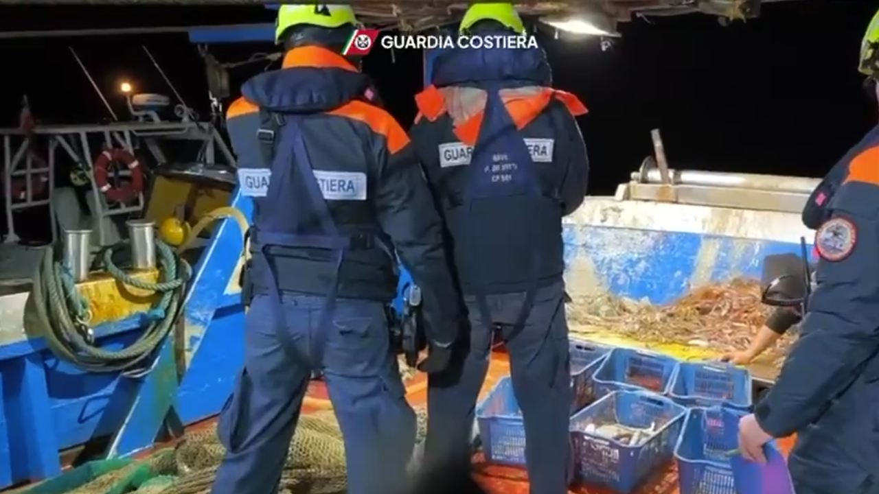 Guardia Costiera durante un servizio istituzionale sul mare
